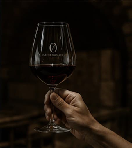 Food, Wine & Spirits