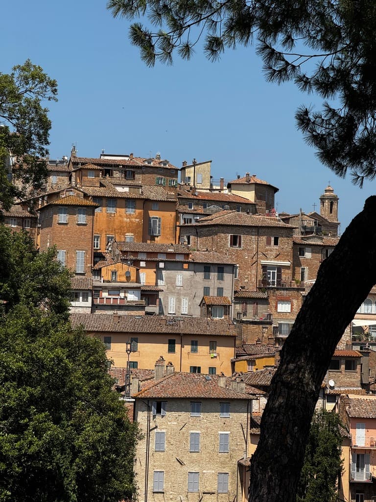 Can a city grow without losing what makes it unmistakably itself?