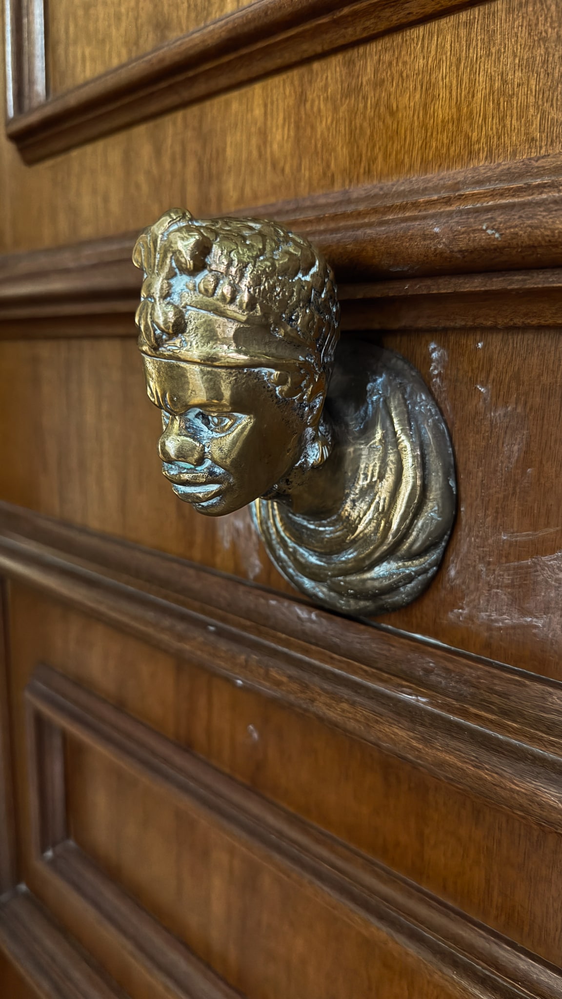 A sculpted metal detail on a wooden door.